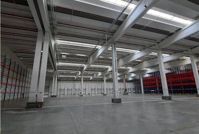 Spațiu industrial, de 3,000 mp, în Est - 8