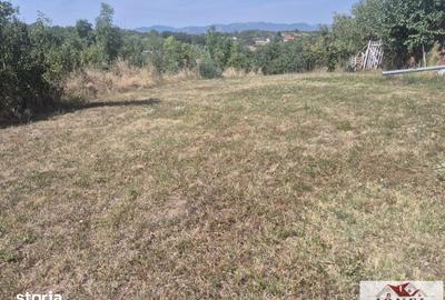 Teren de 3600 mp, în Berghin