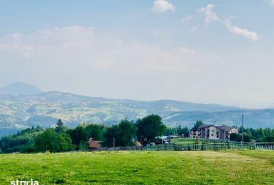Spațiu comercial, de 1,500 mp, în Poiana Mărului