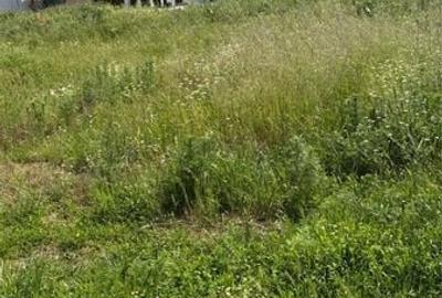 Teren de 500 mp, în Domnești - 4