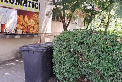 Apartament cu 2 camere decomandat în Steaua