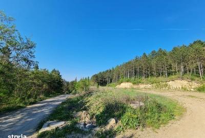 Teren de 1100 mp, în Făget