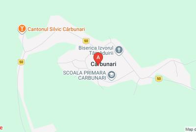 Teren agricol extravilan de 5300 mp, în Cărbunari - 1