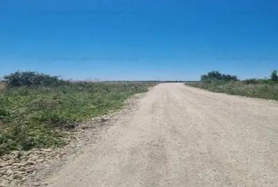 Teren intravilan de 8700 mp, în Sud-Vest