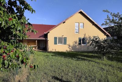 Casă cu 4 camere cu Teren 1106 Mp în Vinga - 2