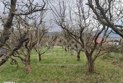 Casă cu 3 camere cu Canalizare în Săcel - 7