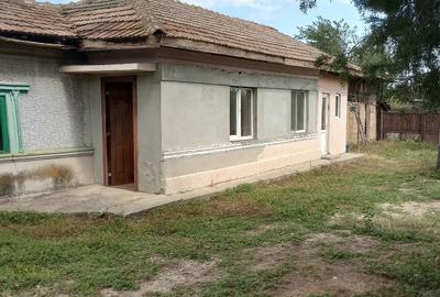 Casă cu Teren 7000 Mp în Săbiești - 3