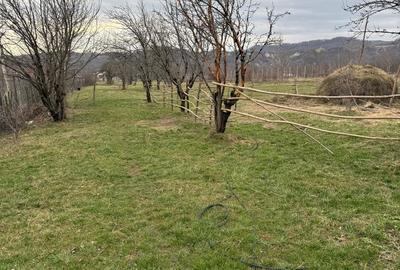 Teren de 5200 mp, în Brebu - 9