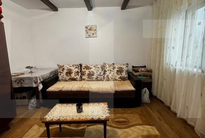 Casă individuală cu 2 camere cu Teren 2930 Mp în Săveni