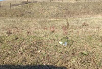Casă cu 2 camere cu Teren 2698 Mp în Cătina