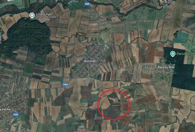 Teren agricol extravilan de 16000 mp, în Bucovăț (Remetea Mare) - 2