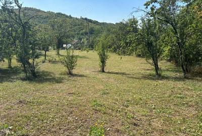 Teren de 3000 mp, în Central - 4