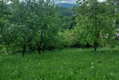 Teren de 3150 mp, în Poiana - 3