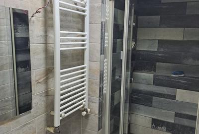 Casă cu 2 camere cu Teren 300 Mp în Giurgiului - 4