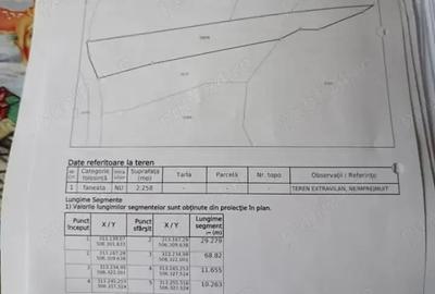Casă cu 2 camere cu Teren 21000 Mp în Boiu - 4