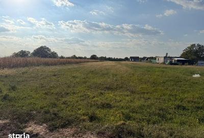 Teren de 5350 mp, în Petrăchioaia