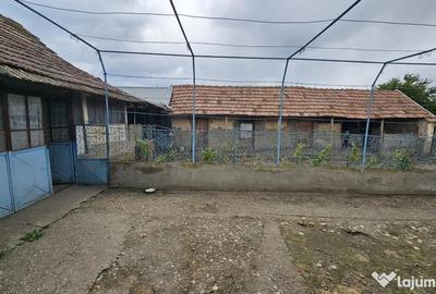 Casă cu 2 camere cu Teren 1500 Mp în Urzica - 12