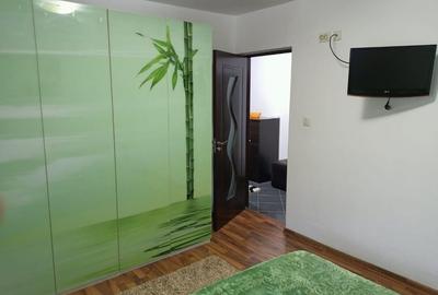 Apartament cu 2 camere semidecomandat în Valea Lupului - 6