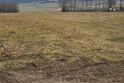 Teren Construcții intravilan de 2200 mp, în Mera - 3