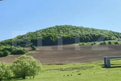 Teren în Sângeorgiu de Mureș