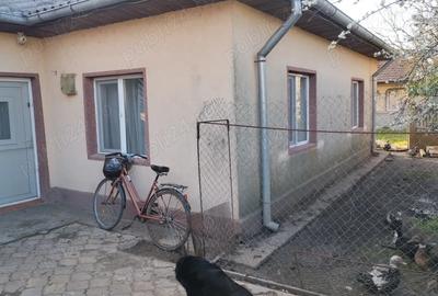 Casă cu Teren 1000 Mp în Central