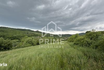 Teren de 4000 mp, în Cricău - 2