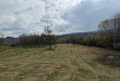 Teren de 10176 mp, în Slătioara - 4