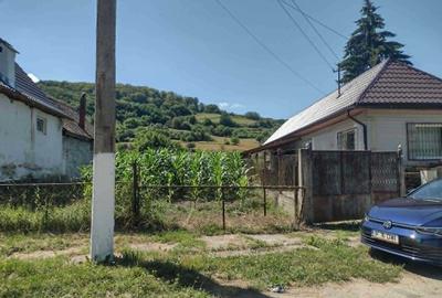 Casă cu 3 camere în Nou - 1