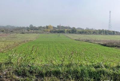 Teren de 5450 mp, în Central - 2