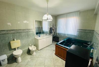 Casă individuală cu 13 camere cu Canalizare în Gruia - 9