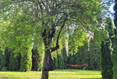Casă cu 1 camere cu Teren 100 Mp în Central