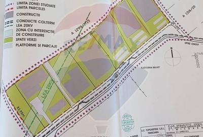 Teren Construcții intravilan de 27299 mp, în Șagului - 3