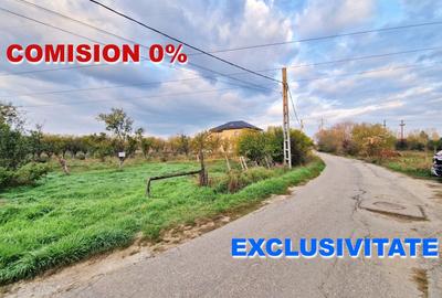 Teren Construcții intravilan de 3207 mp, în Bascov - 1