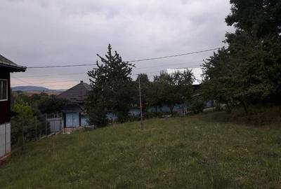 Spațiu comercial, în Văratec - 8