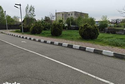 Garsonieră în Blejoi - 6
