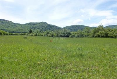 Teren Construcții intravilan de 2900 mp, în Tohănița - 2
