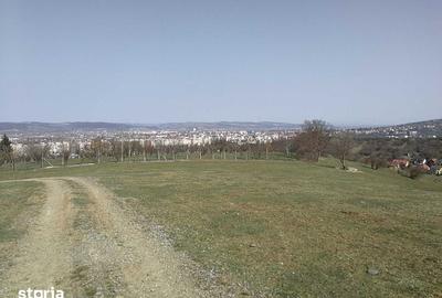 Teren de 15908 mp, în Libertății - 3