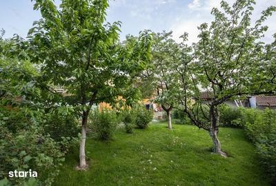 Casă cu Teren 556 Mp în Cernatu - 5