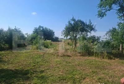 Casă cu 2 camere cu Teren 5000 Mp în Mogoșani - 5