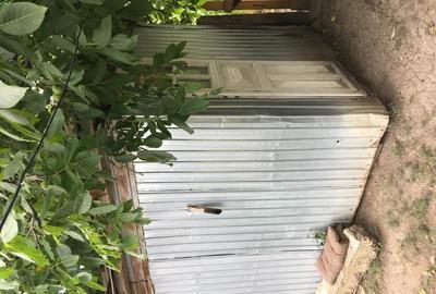 Casă cu 5 camere în Viișoara