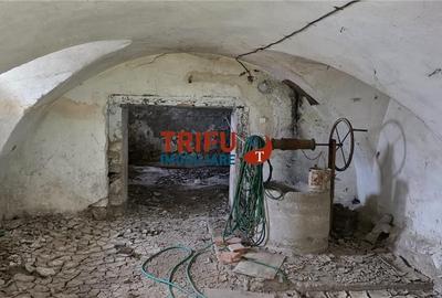 Casă cu 4 camere cu Teren 5000 Mp în Cricău - 1