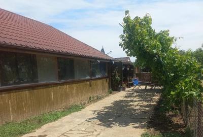 Casă cu 4 camere cu Teren 800 Mp în Kogălniceanu