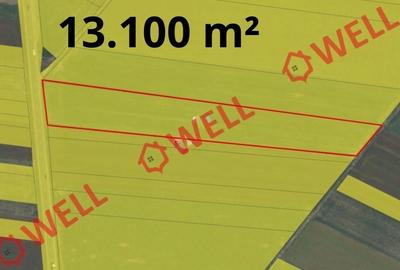 Teren extravilan de 71651 mp, în Chichiș - 2