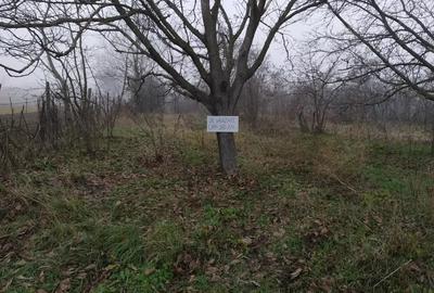 Teren de 1300 mp, în Găgești
