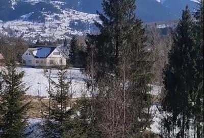Teren de 3900 mp, în Sud - 2