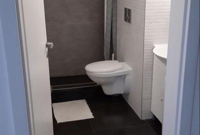 Apartament cu 2 camere în Valea Lupului