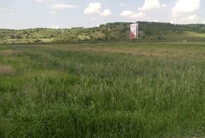 Teren Construcții intravilan de 5000 mp, în Cristian - 3