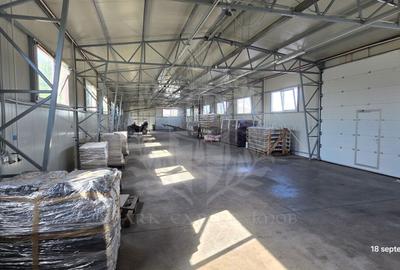 Spațiu industrial, în Mihai Bravu - 6