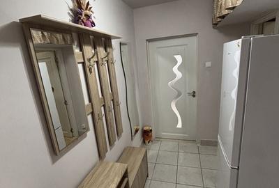 Apartament cu 2 camere semidecomandat în Govândari - 6