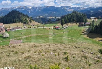 Teren de 16874 mp, în Fundata - 1